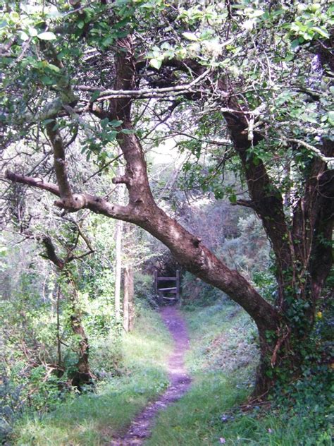 St Mawes To St Just In Roseland Cornwall Nature Roseland Cornwall