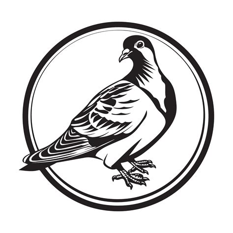 Pigeon bird Image vector, logo, illustration design 41412192 Vector Art ...