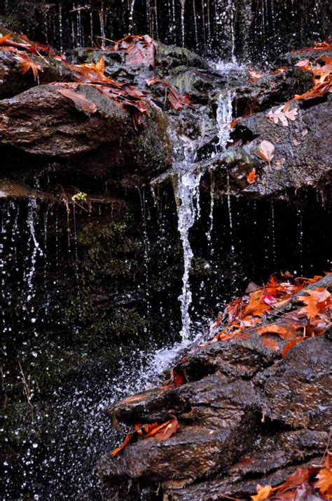 Issaqueena Falls: A Journey Through Legend and Nature