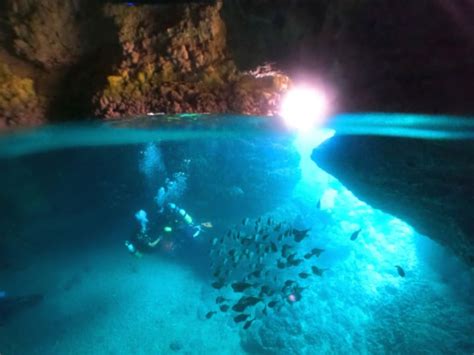 体験ダイビング 青の洞窟ツアー 沖縄の観光・オプショナルツアー専門 Veltraベルトラ