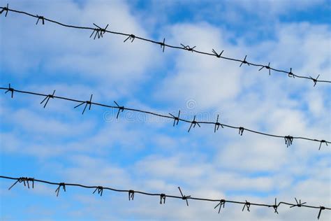 Barbed Wire Under Tension Under Blue Sky. Fence with Barbed Wire ...