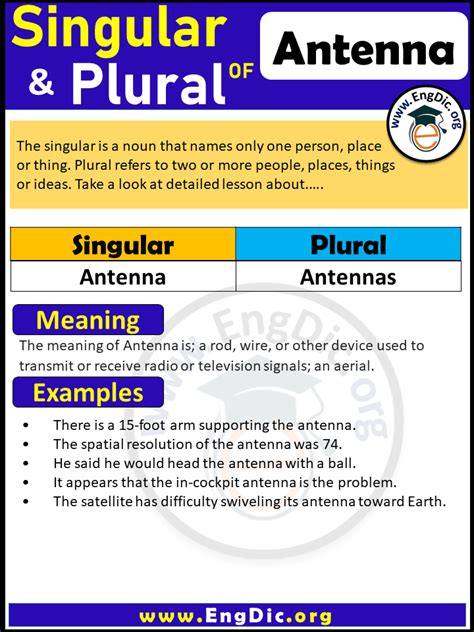 plural of Antenna – EngDic