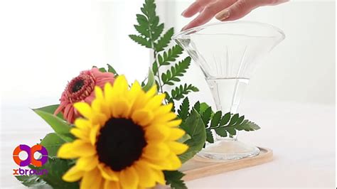 Bottoms Cumming Hands Free Cum Search XVIDEOS