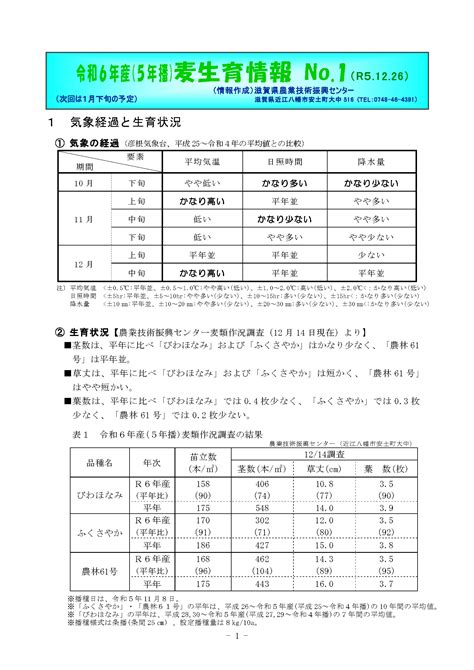 令和6年産 5年播 麦生育情報no 1 高島地域農業センター