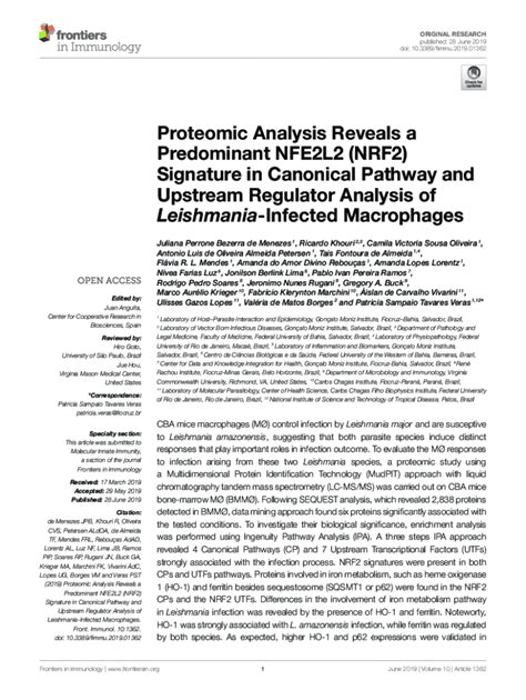 Fillable Online Proteomic Analysis Reveals A Predominant NFE2L2 NRF2