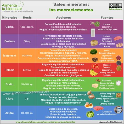 Sales Minerales Propiedades Dosis Y Fuentes Alimentarias