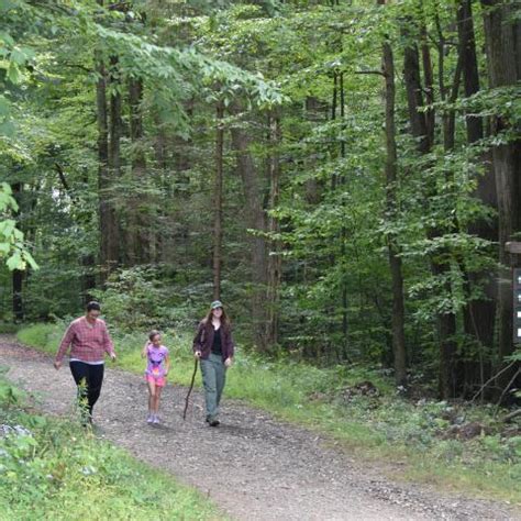 Allegany State Park Trails | Enchanted Mountains of Western New York State