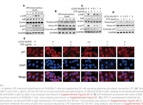 Figure From Latroeggtoxin Vi Protects Nerve Cells And Prevents