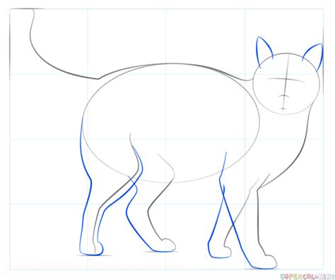 How To Draw A Realistic Cat Step By Step Drawing Tutorials