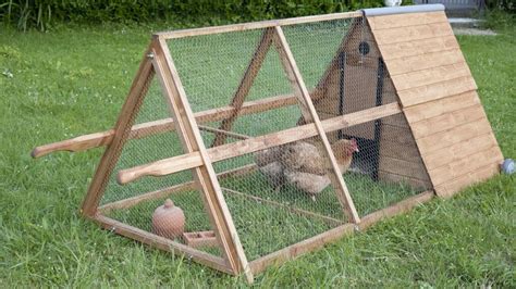 Construye Tu Propio Gallinero Para Gallinas Y Disfruta De Huevos