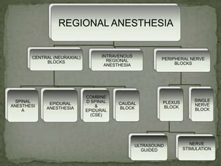 Regional anesthesia | PPT