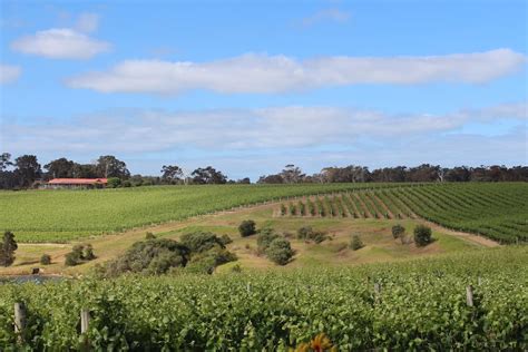 Best wineries in Margaret River for lunch