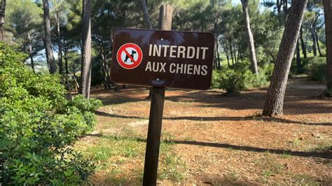 Var Le Parc Du Colombet Sanary Sur Mer D Sormais Interdit Aux Chiens