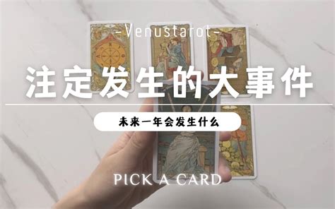 【venus塔罗】未来一年，一定会发生的若干大事件。哔哩哔哩bilibili