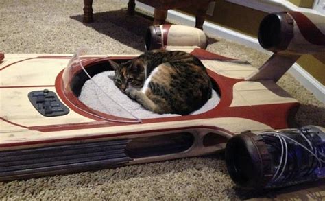 Top 10 Nerdy And Unusual Cat Beds Atelier Yuwa Ciao Jp