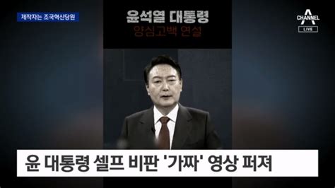 ‘윤 대통령 딥페이크 영상 제작자는 조국혁신당 당직자 Dogdripnet 개드립