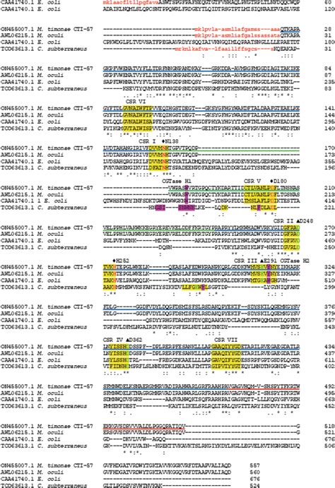 Sequence Alignment Alignment Of The Amino Acid Sequences From The M