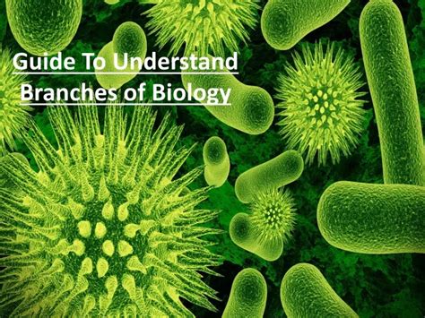 PPT An Ultimate Guide To Understand Crucial Branches Of Biology