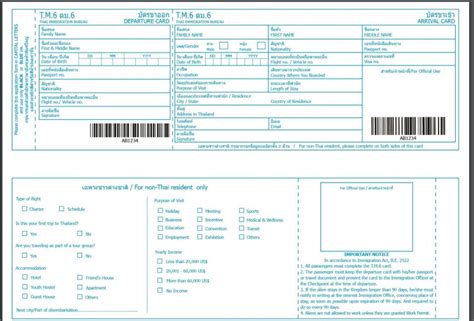 Arrival and Departure Card (TM.6) - Ultimate Solutions Asia