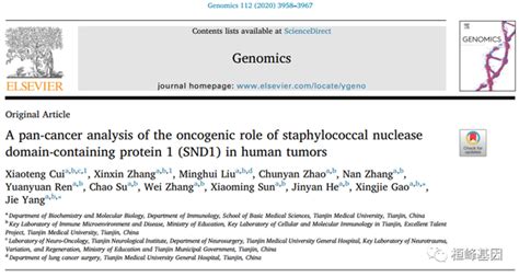 If 5 葡萄球菌核酸酶结构域含蛋白1 Snd1在人类肿瘤中的致癌作用的泛癌分析 知乎