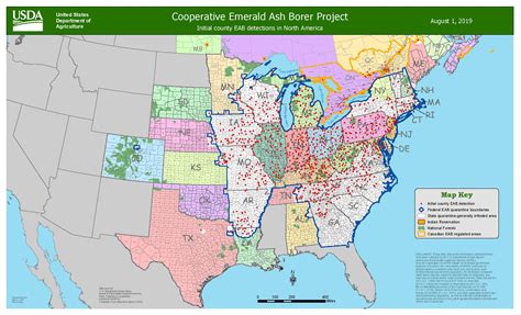 USDA releases new emerald ash borer detection map