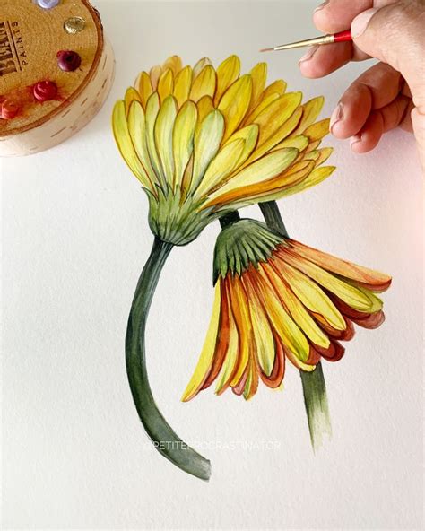 Kanchan Kaul Artist On Instagram I Should Paint Yellow Flowers More