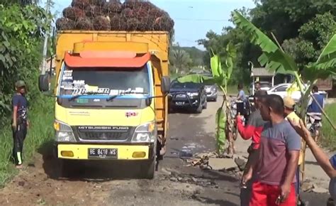 Kesal Tak Kunjung Diperbaiki Warga Tulang Bawang Barat Tanam Pohon