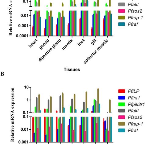 Expression Analyses Of Seven Ilp Signalling Pathway Genes Expression