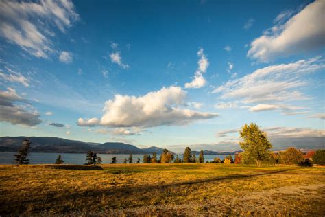 Dog-Friendly Beaches in Kelowna - Okanagan.com