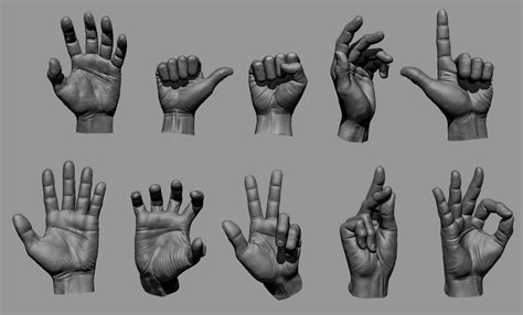 Male hand poses - ZBrushCentral