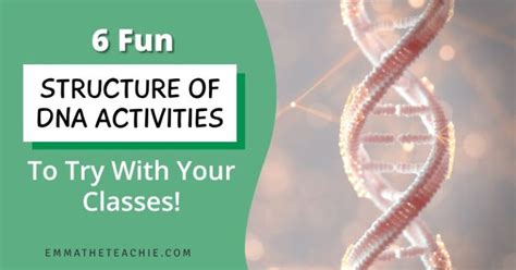 6 Fun Structure of DNA Activities to Try - Emmatheteachie blog