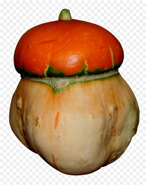 La Grande Citrouille Les Courges Dhiver La Citrouille PNG La Grande