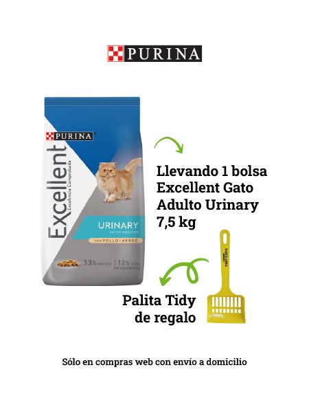 Excellent Alimento Seco Para Gatos Adultos Urinary Kg Nutrican