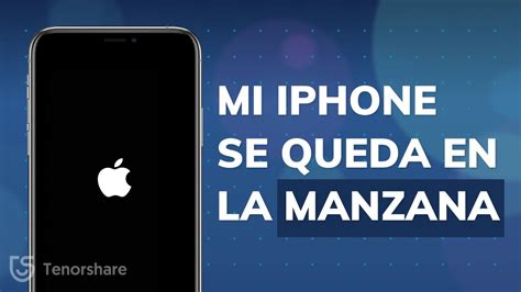 Details Mi Iphone Se Queda En El Logo Abzlocal Mx