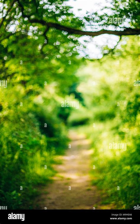 Blurred Abstract Bokeh Boke Natural Background Of Walkway Path Lane In