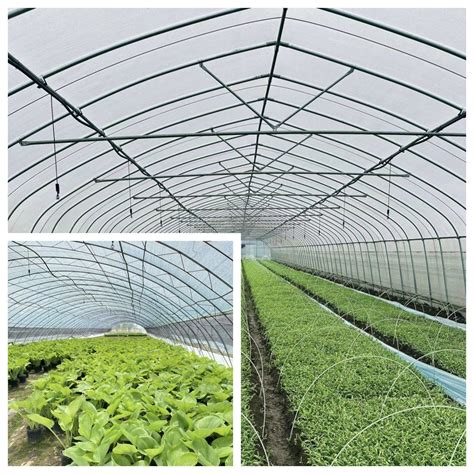 Modern PVC Pipe Arches Greenhouse Structure - China PVC Pipe Greenhouse ...