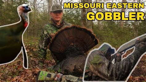 Missouri Turkey Hunt Self Filmed Youtube