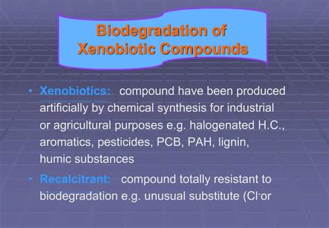 Ppt Biodegradation Of Xenobiotic Compounds Powerpoint Presentation Free Download Id 747387