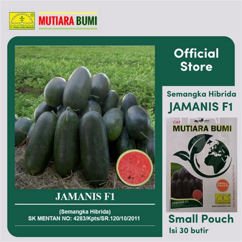 Jual BENIH SEMANGKA HIBRIDA JAMANIS F1 SMALL POUCH ISI 30 BUTIR CAP