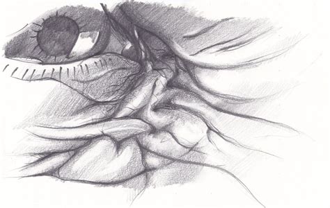 Face Drawing Tutorial How To Draw The Wrinkles Under The Eye Drawing Wrinkles Eye Drawing