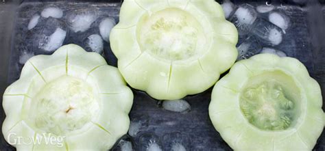 Growing And Cooking Out Of This World Patty Pan Squash