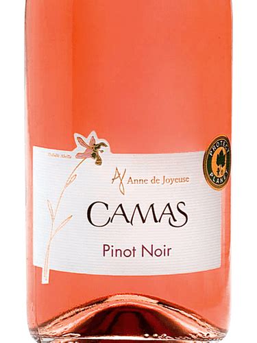 Anne de Joyeuse Camas Pinot Noir Rosé Vivino