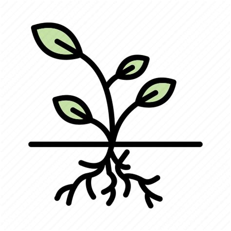 Plant Roots Png