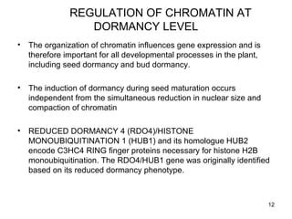 Molecular Mechanism of Seed Dormancy | PPT