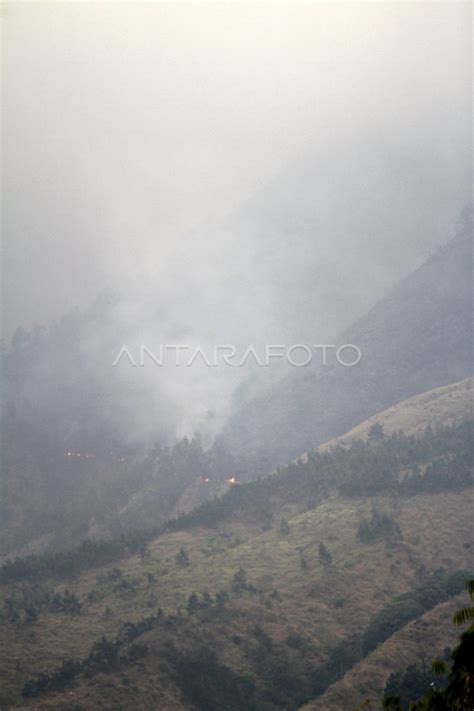 Kebakaran Hutan Dan Lahan Di Gunung Arjuno ANTARA Foto