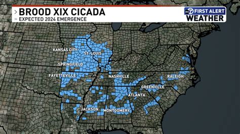 Rare cicada emergence expected to occur in 2024