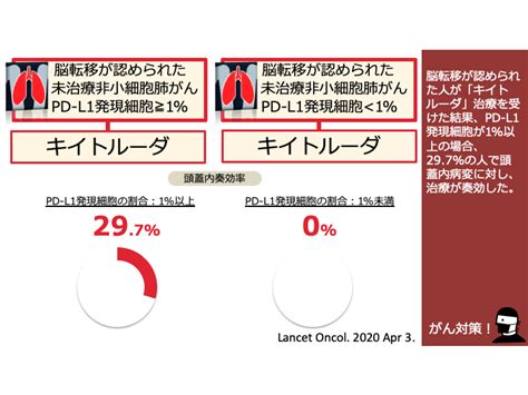 日本がん対策図鑑 【脳転移肺がん：一次治療】キイトルーダ