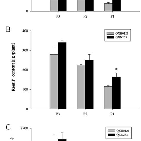 Changes In Total P Contents In Shoots And Roots Of Contrasting Maize