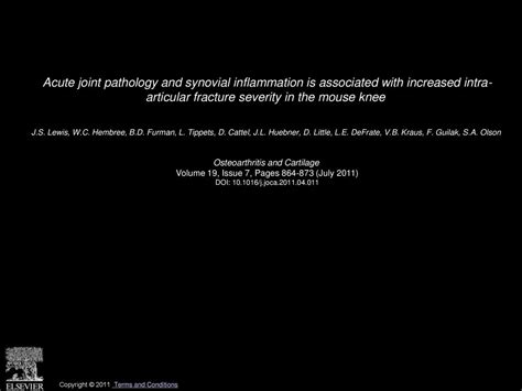 Acute Joint Pathology And Synovial Inflammation Is Associated With