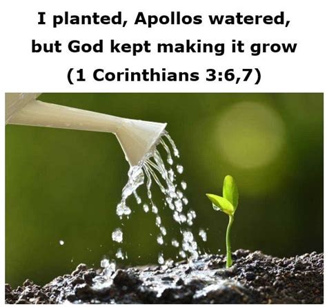 I planted, Apollos watered, but God kept making it grow (1 Corinthians ...